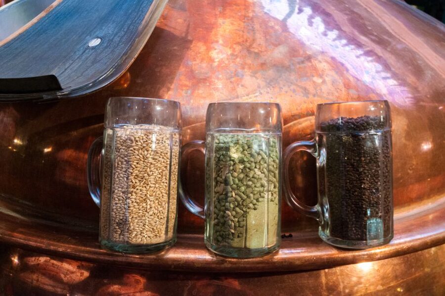 Prague: Brewery Tour with Unlimited Tastings - What the guides add to the afternoon