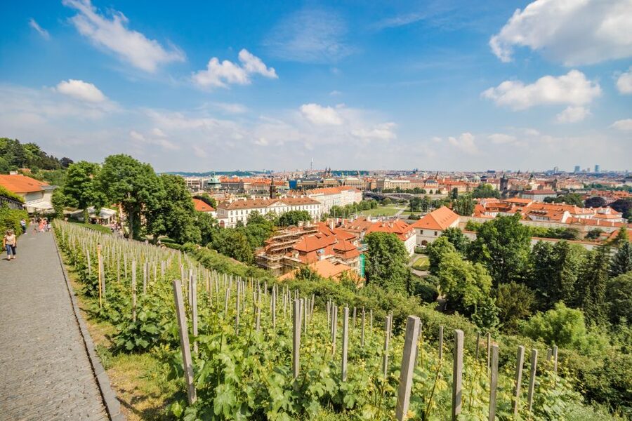 Prague Castle 2.5-Hour Tour Including Admission Ticket - St. Vitus Cathedral, 25 minutes of royal ceremony