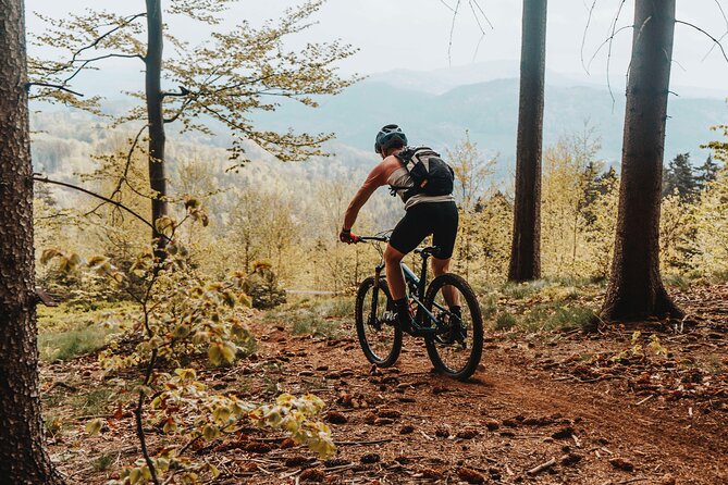 Prague E-Mountain Biking Adventure In The Bohemian Paradise - How the guiding affects your day