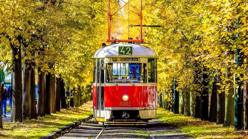 Prague: Full-Day Guided Tour of Prague in a Small-Group - The tram makes the castle climb easier