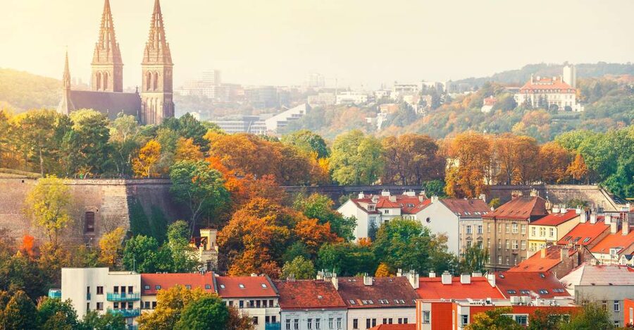 Prague: Guided tour to the historic fortress of Vyšehrad - Inside St. Peter and St. Paul Basilica