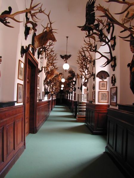 Prague: Karlštejn Castle Guided Tour with Entry Ticket - Guides, languages, and group size