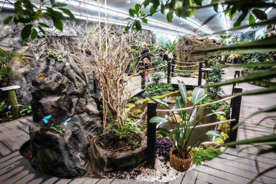 Prague: Papilonia Butterfly House - Booking, cancellation, and practical details