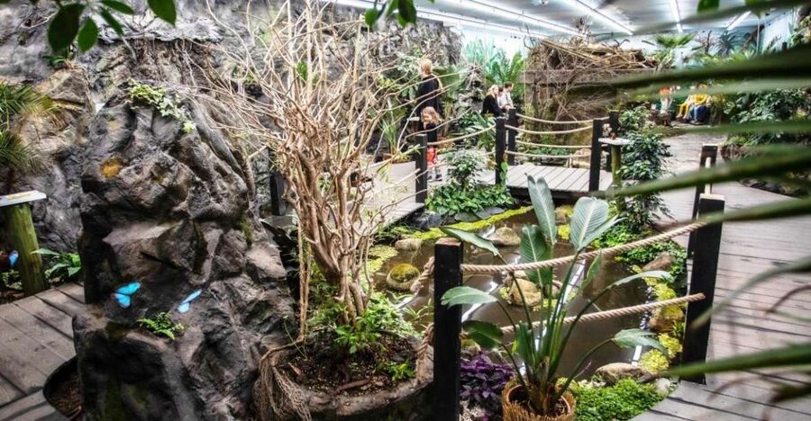 Prague: Papilonia Butterfly House - How to behave around the butterflies