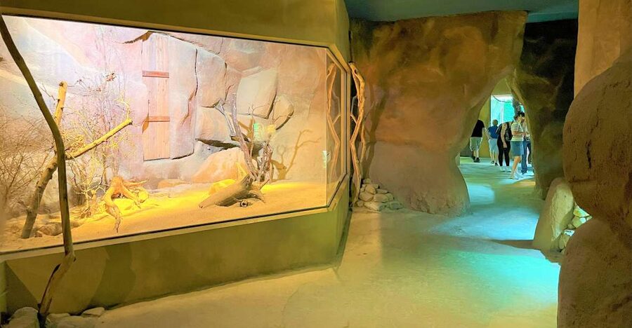 Prague: Prague Zoo Audio Guide with E-Ticket - Key points to know