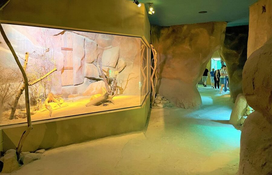 Prague: Prague Zoo Audio Guide with E-Ticket - Using the audio guide and two maps
