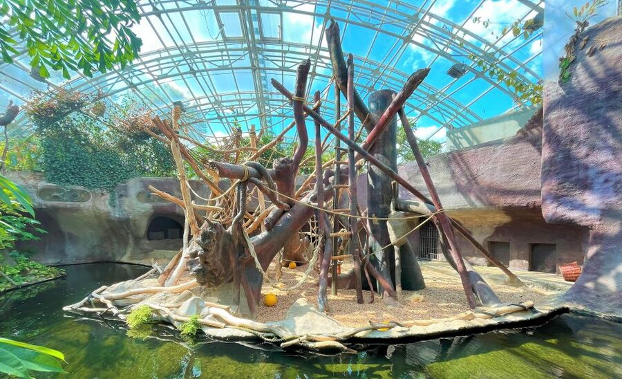 Prague: Prague Zoo Audio Guide with E-Ticket - Following the zoo’s difficult story