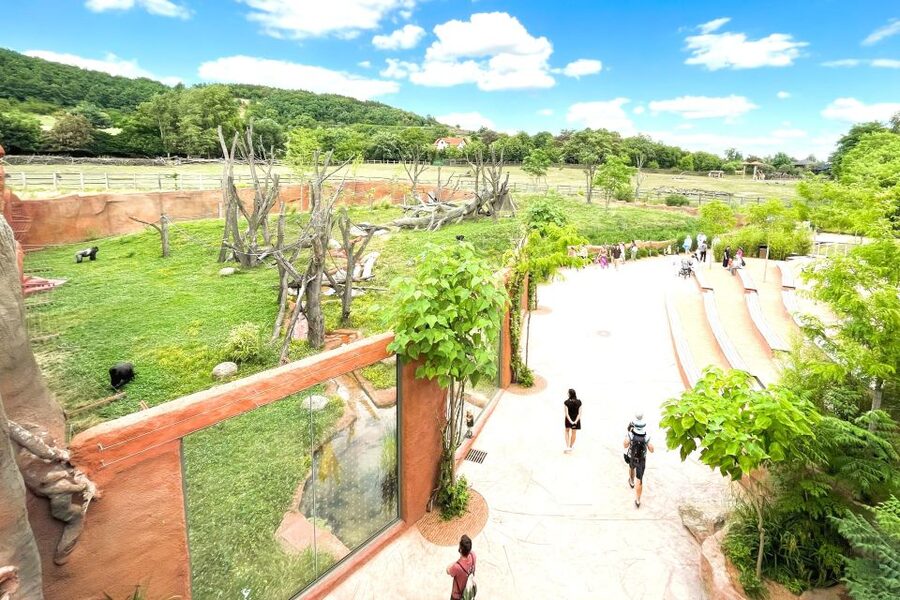 Prague: Prague Zoo Audio Guide with E-Ticket - Is $22 good value?