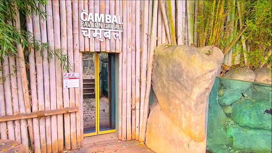 Prague: Prague Zoo Audio Guide with E-Ticket - Who should book this experience?