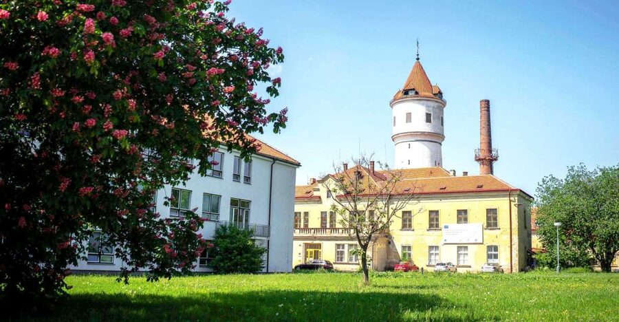 Prague: Psychiatric Hospital and Abandoned Cemetery Tour - Why Bohnice Makes This Tour Different
