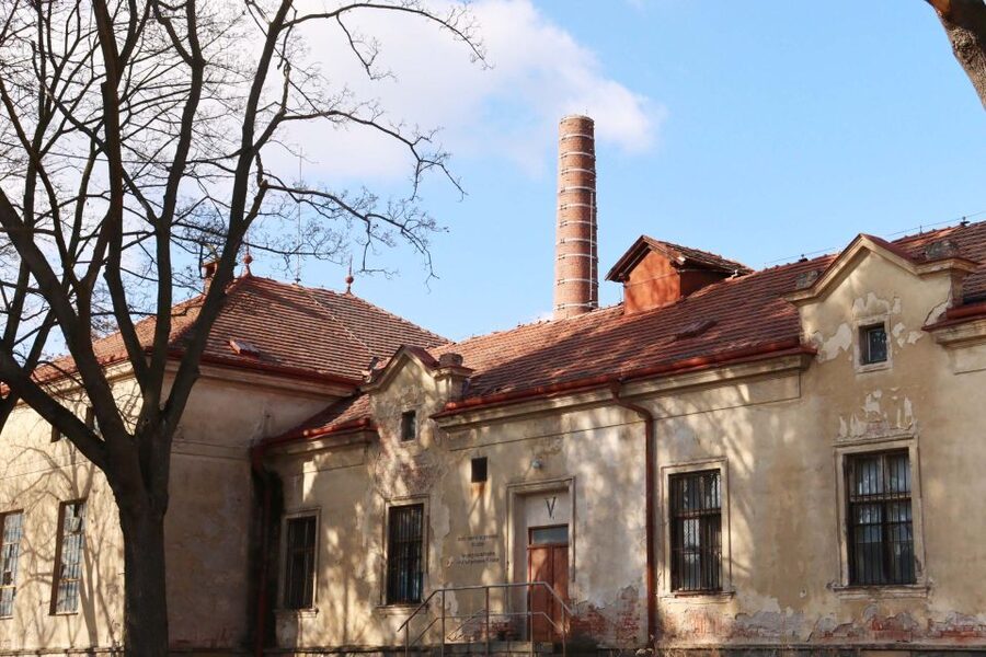 Prague: Psychiatric Hospital and Abandoned Cemetery Tour - Should You Book the Bohnice Tour?