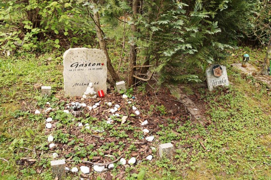 Prague: Psychiatric Hospital and Abandoned Cemetery Tour - Is $32 Good Value for Three Hours?