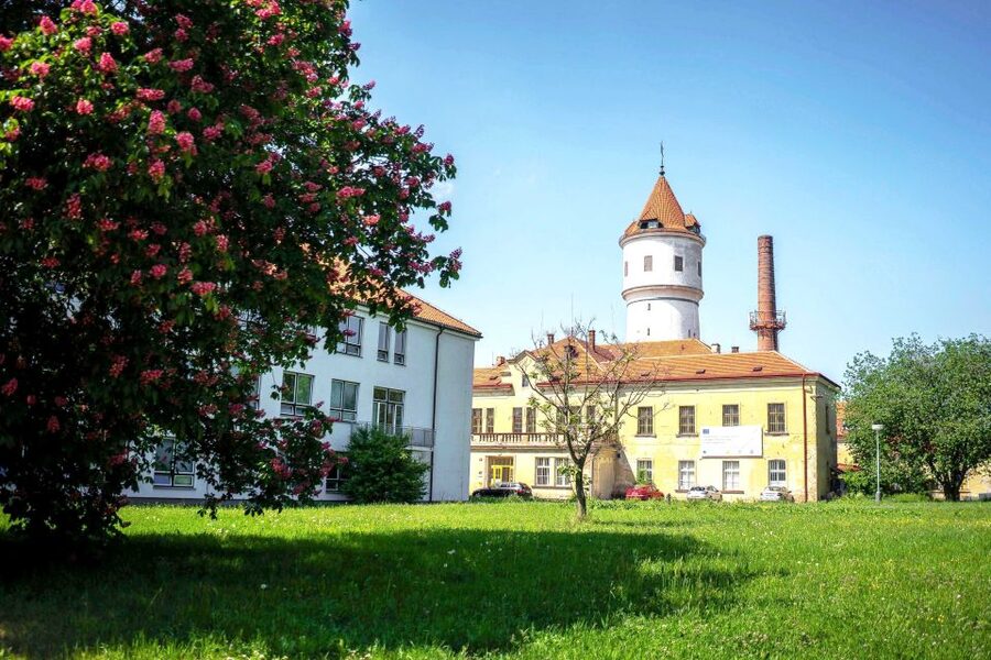 Prague: Psychiatric Hospital and Abandoned Cemetery Tour - The Rosenhan Experiment and Psychiatric Diagnosis