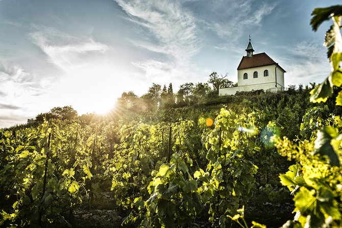 Prague´s Hidden Vineyards Private Tour - Should you book the Prague Hidden Vineyards Private Tour?