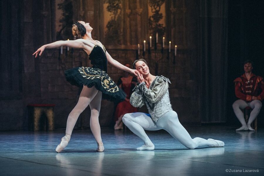 Prague: The Best of Swan Lake Ballet Tickets - What the Music Adds to the Story