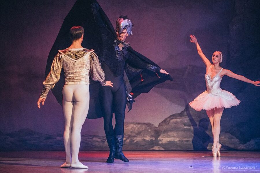 Prague: The Best of Swan Lake Ballet Tickets - Who Will Enjoy This Ballet Most?
