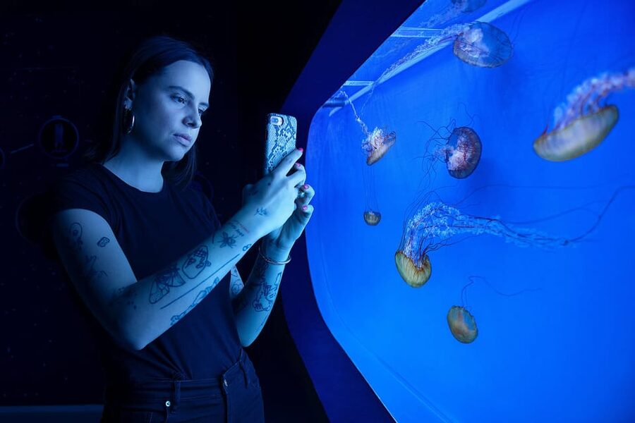 Prague: The World Of Jellyfish Entry Ticket w/ Drink - Who will enjoy this most