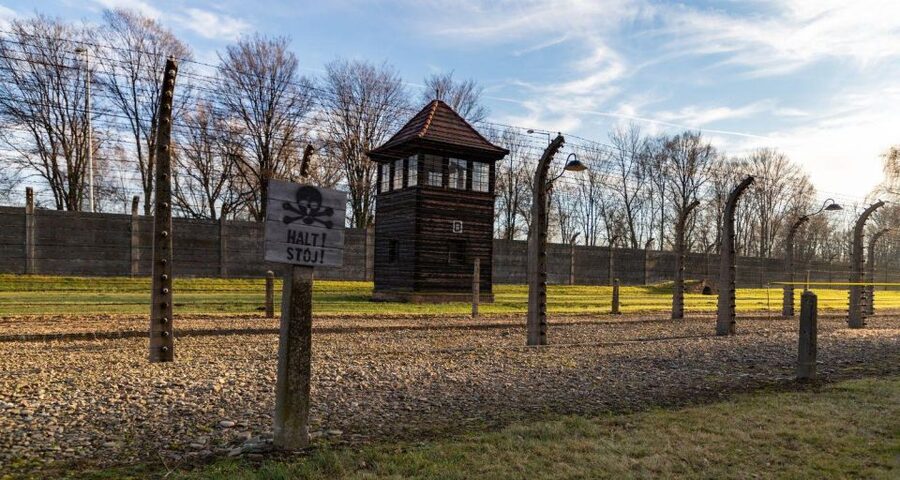 Prague: Tour to Auschwitz Birkenau - What the private format adds