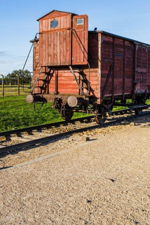 Prague: Tour to Auschwitz Birkenau - Is $601 a fair price?