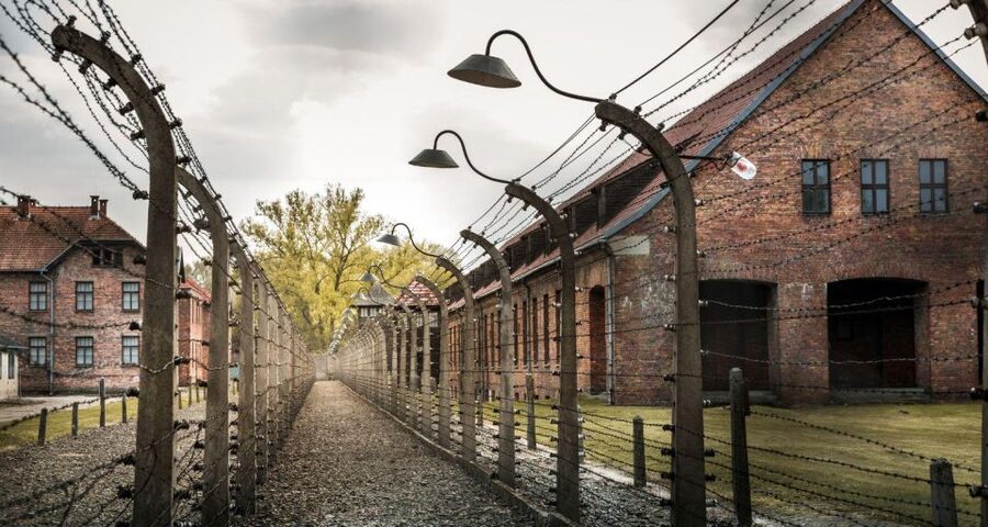 Prague: Tour to Auschwitz Birkenau - Who should choose this Auschwitz tour?