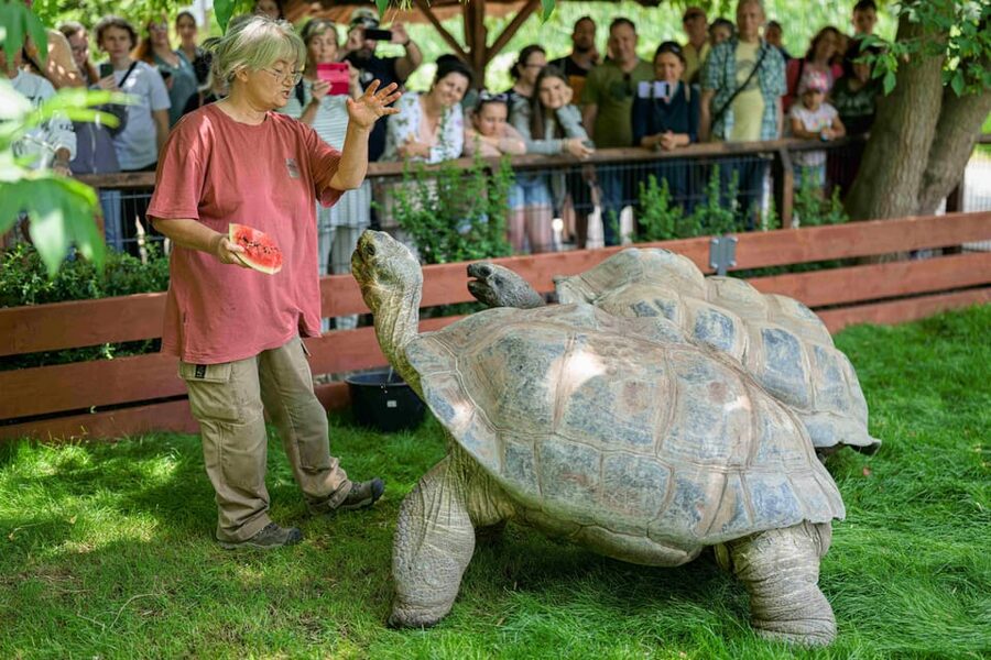 Prague Zoo: Skip-the-Line Entry Ticket - Why Prague Zoo deserves a place in your plans