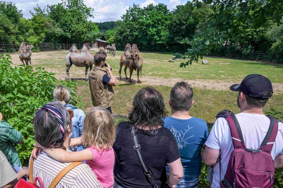 Prague Zoo: Skip-the-Line Entry Ticket - Getting there and extra costs