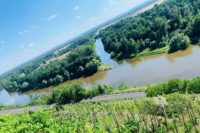 Private Bohemia Wine Tour from Prague with Gourmet Tastings - Why Bohemia makes a good wine escape from Prague