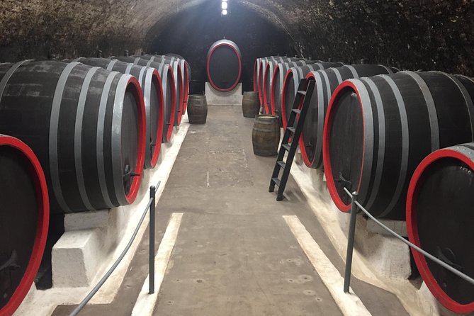 Private Bohemia Wine Tour from Prague with Gourmet Tastings - Velké Žernoseky’s medieval cellar and Czech lunch