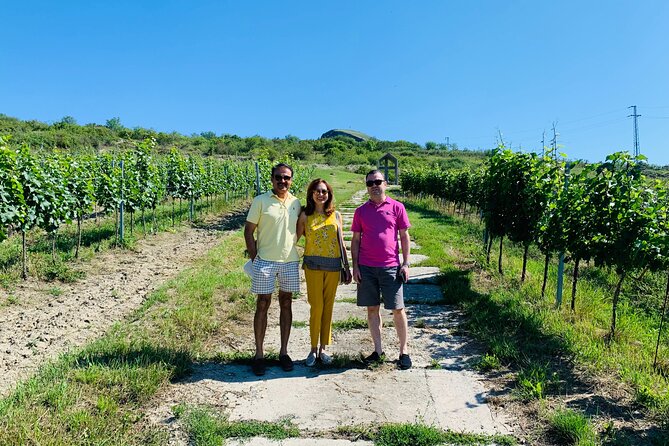 Private Bohemia Wine Tour from Prague with Gourmet Tastings - Mělník château and the first glass of wine