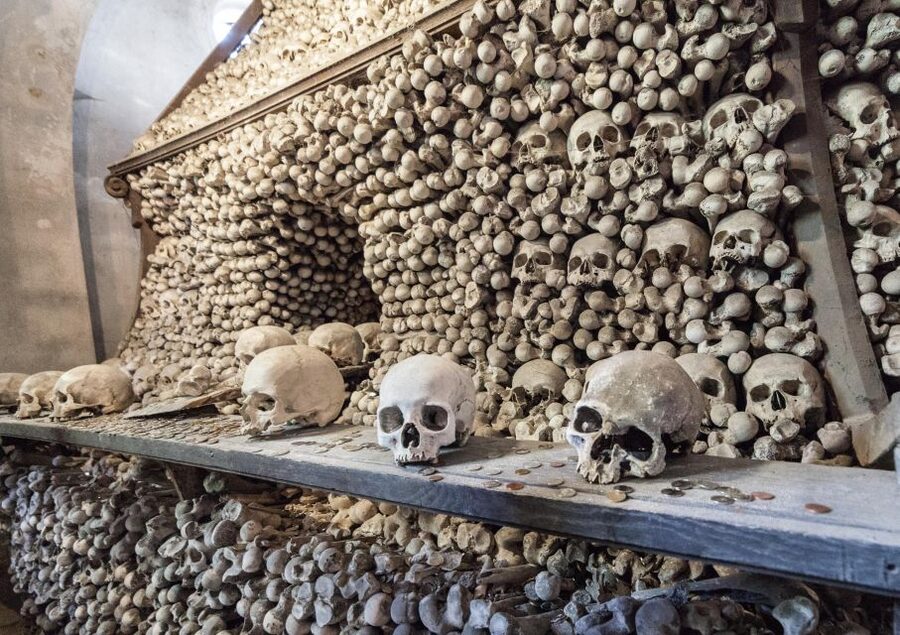 Private Guided Tour from Prague to UNESCO Kutna Hora - Should you book it?