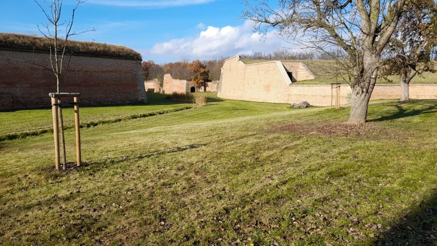 Private Half-Day Tour To Terezin Concentration Camp - What the private format adds