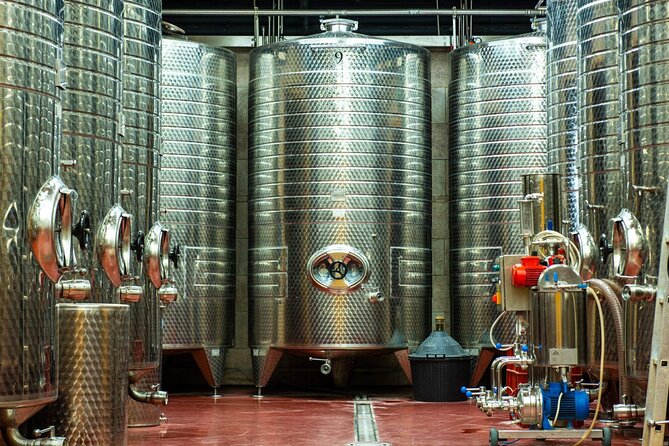 Private PICNIC in Bohemian Vineyards and Wine Tasting 4WD Tour - How much value is in $372.07 per person?