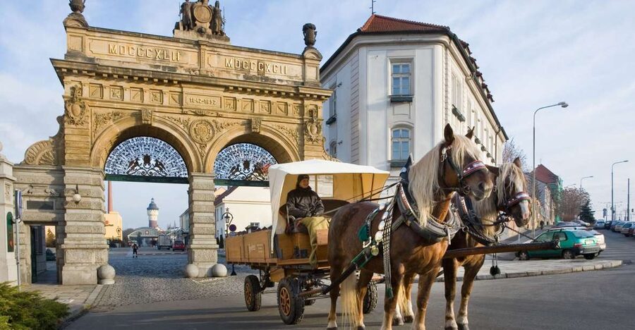 Private Pilsen & Pilsner Urquell Brewery Tour Prague - Walking Pilsen’s central sights