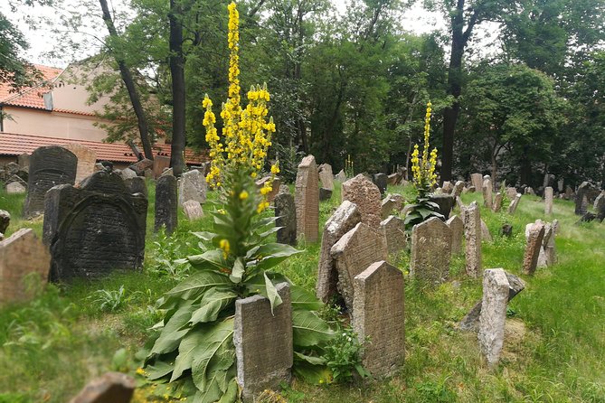 Private Stories of Jewish Prague Walking Tour - The Jewish Museum’s network of historic sites