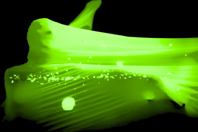 Underground Black Light Theatre Interactive Show in Prague - Film projection and live performance in one room