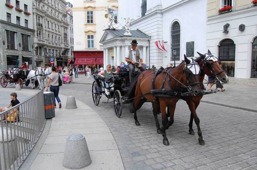 Vienna Full Day Tour from Prague - What the $191 price really covers