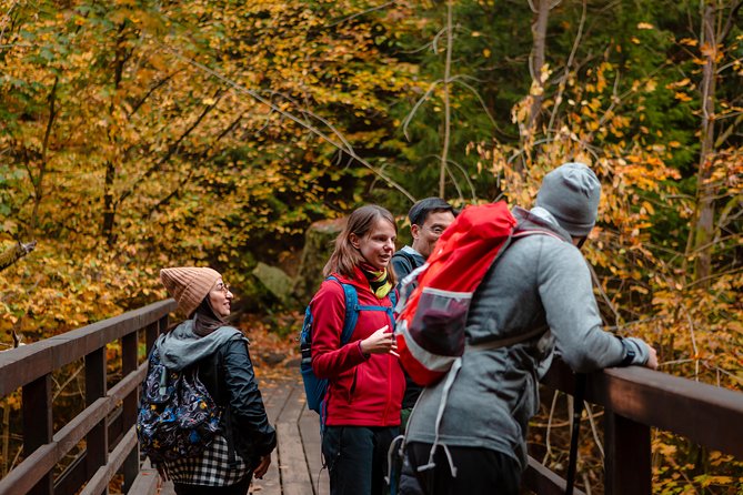 VIP Best Reviews: Bohemian & Saxon Switzerland from Prague - The optional Pravcicka Gate hike
