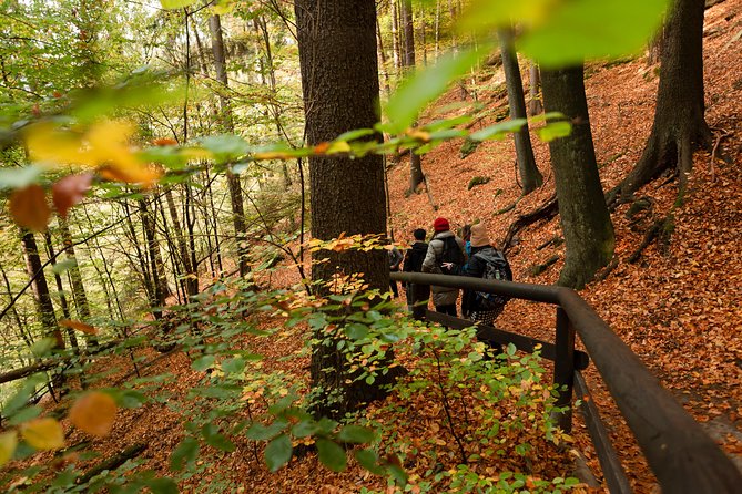 VIP Best Reviews: Bohemian & Saxon Switzerland from Prague - The Kamenice River Gorges by boat