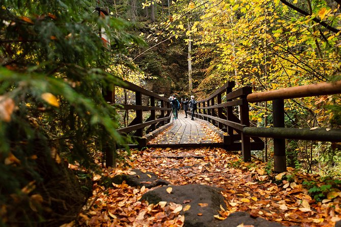 VIP Best Reviews: Bohemian & Saxon Switzerland from Prague - Shared tour or private day?